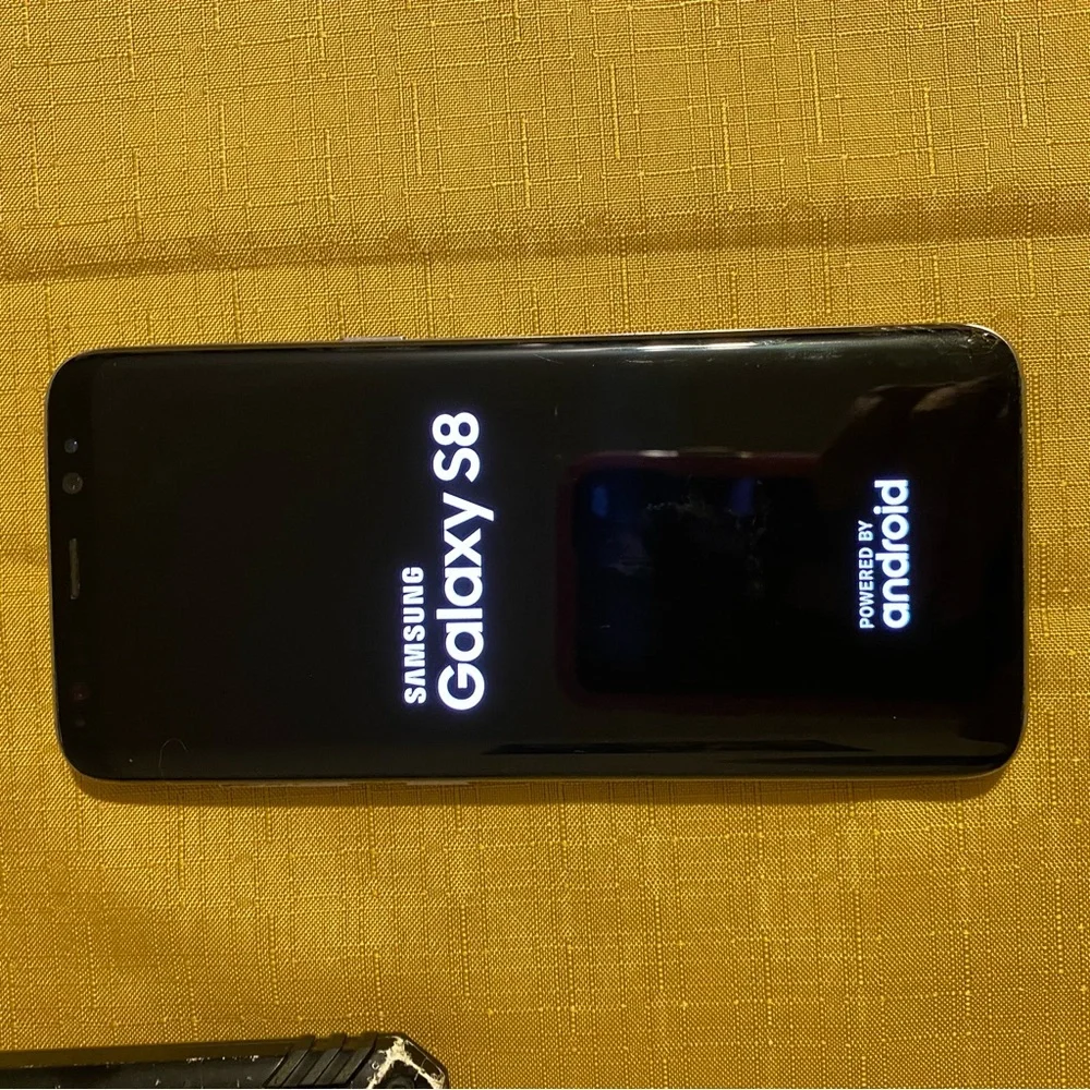 Samsung Galaxy S8 phone with case